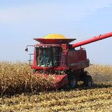 A combine harvests corn in Iowa