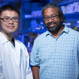 Chi-Fu Yen and Sanjeevi Sivasankar in their Iowa State lab.