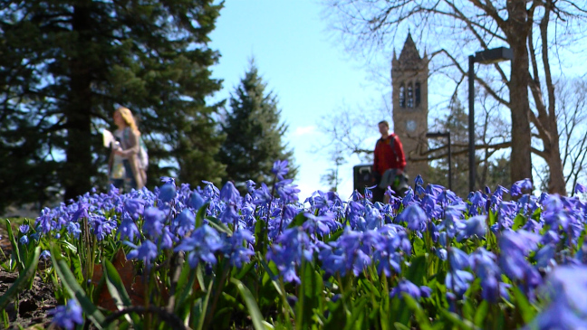 Postcard from Campus: Spring is in the Air