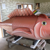 Fish coffin