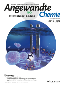 Cover image of Angewandte Chemie International Edition