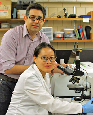 Reza Montazami and Yuanfen in their Iowa State lab.