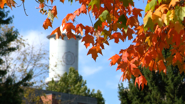 Postcard from Campus: Fall Beauty