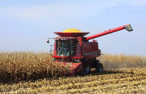 A combine harvests corn in Iowa