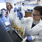 Graduate students work in an agricultural and biosystems engineering lab