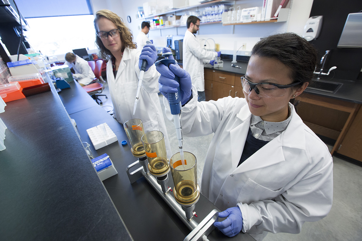 Graduate students work in an agricultural and biosystems engineering lab