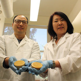 Tong Wang and Tao Fei wear lab coats in a laboratory at Iowa State University