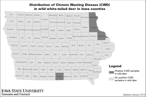 A map of Iowa showing the four counties where chronic wasting diseases has been confirmed