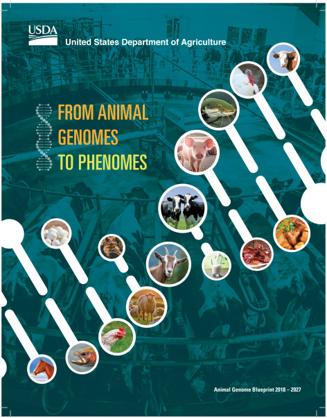 A graphic depicting livestock genomics