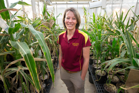 Alison Robertson in a greenhouse at Iowa State University