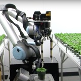 A robotic rover traveling through a laboratory full of potted plants