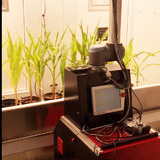 The Enviratron robotic rover inside plant growth facility