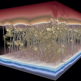 3D computer simulation of water flowing through a polymer desalination membrane.