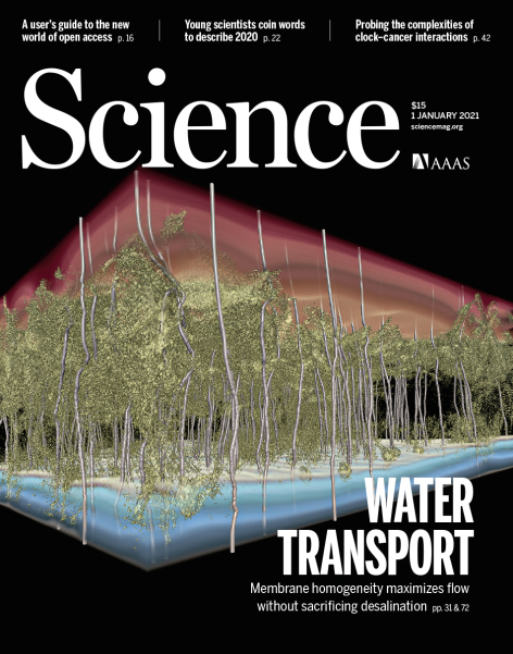 The cover of the Jan. 1, 2021, issue of Science, including a 3D computer simulation of a desalination membrane.