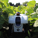 A small, plant-tending robot developed at the University of Illinois during testing in an Iowa State soybean plot.