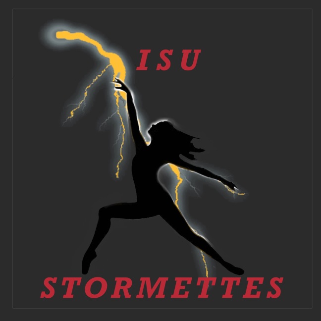 Stormettes logo