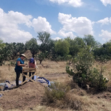 Feben Ruscitti, a senior majoring in anthropology and classical studies, and Serena Webster, a graduate student in anthropology, sift through dirt to recover any missed artifacts from the excavation site at Teotihuacan, Mexico in July 2022.