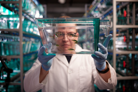 Researcher holding container of zebra fish