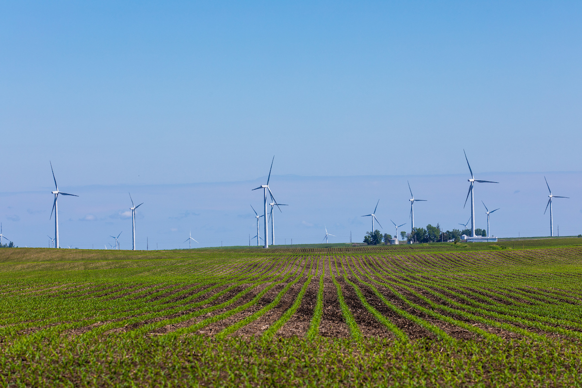 Wind turbines over Iowa farm fields create electricity.