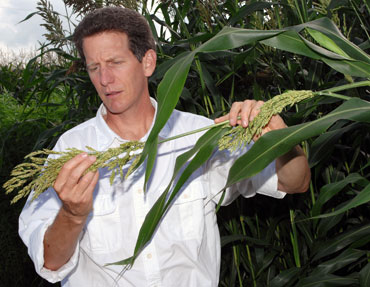 Robert Anex check biomass crops on an Iowa State test farm.