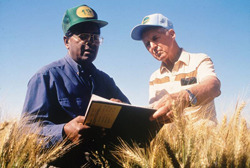 Rajaram and Borlaug