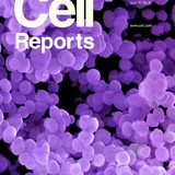 Cover of the April 7 edition of Cell Reports