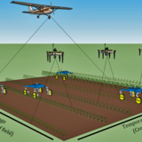 Illustration of an airplane, several drones and several rovers gathering data from a farm field.