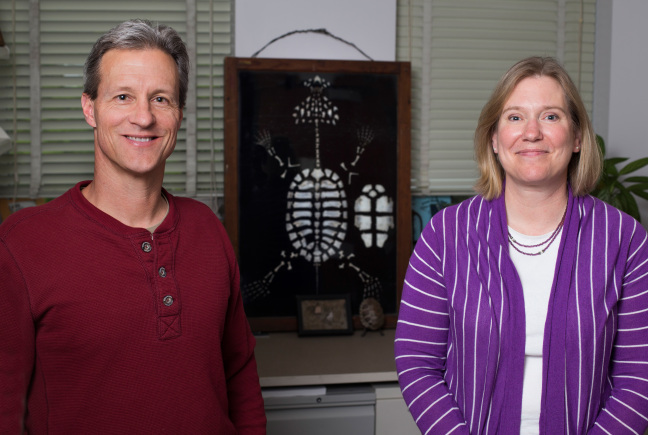 Fredric Janzen and Anne Bronikowski stand in front of a display of turtle bones.