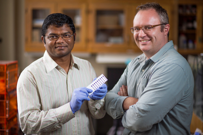 Jonathan Claussen and Suprem Das in their Iowa State lab.