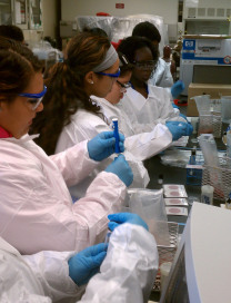 Science Bound students working in lab