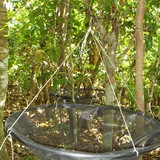 A seed trap set up in a forest to collect and track seed dispersal. 