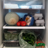 Food on refrigerator shelves 