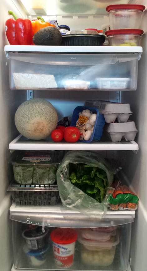 Food on refrigerator shelves
