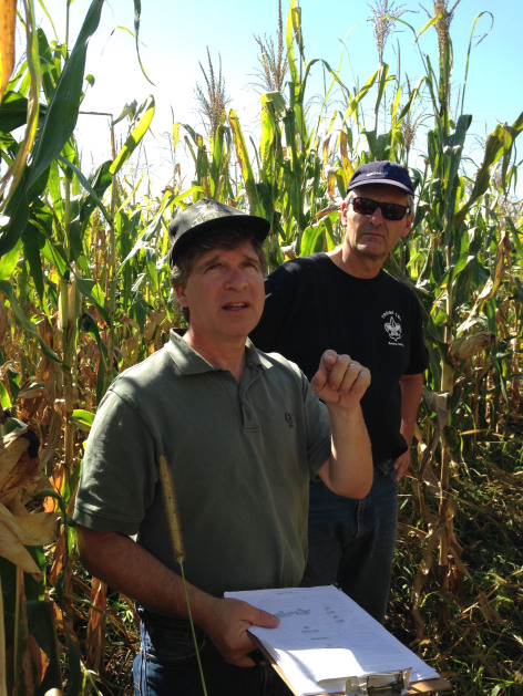 Two researchers inspect a corn nursery outside Ames, Iowa