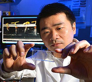 Liang Dong in his lab