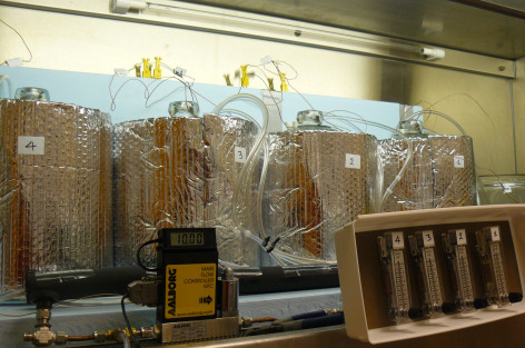 Tanks in a laboratory containing digestate used in Koziel's experiment