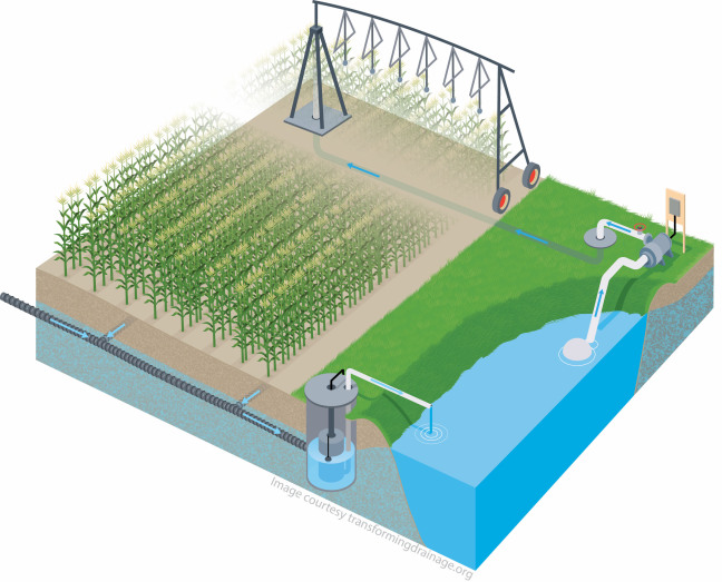 An artist's rendering of how drainage water recycling might look.
