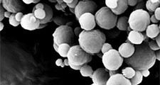 Polymer nanoparticles