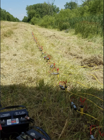 A new levee-inspection system uses electricity to survey levees for internal holes, channels and erosion.