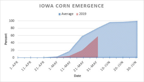 A graph noting the gap between 2019 corn emergence in Iowa and an average year.