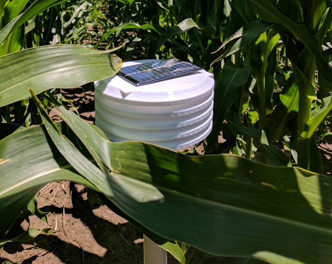 A device collects weather data from a corn field.