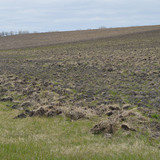 An expanse of newly converted cropland in South Dakota