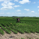 An unmanned aerial vehicle lands in a farm field