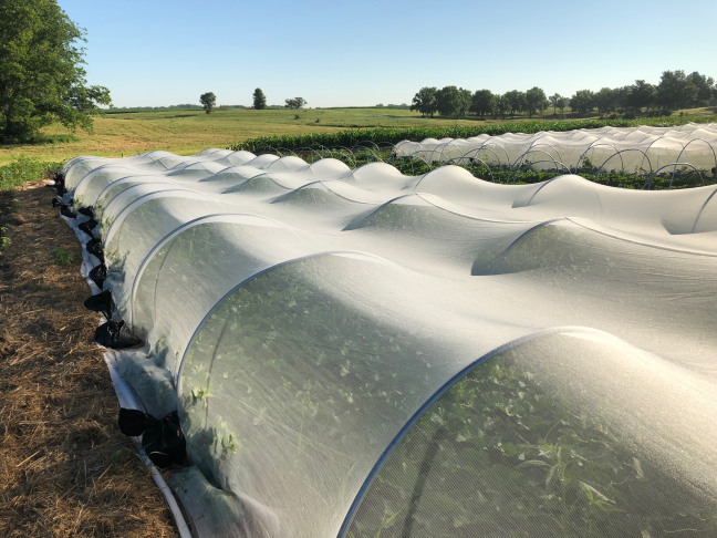 mesotunnels cover crops on a research farm