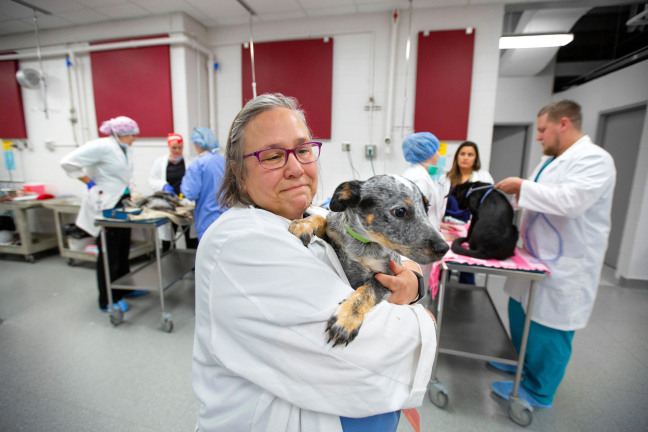 Joyce Carnevale holding a dog before surgery