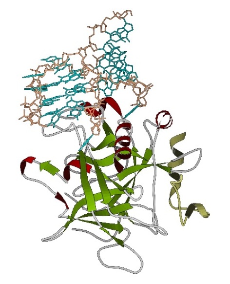 Computer illustration of an aptamer binding to a protein