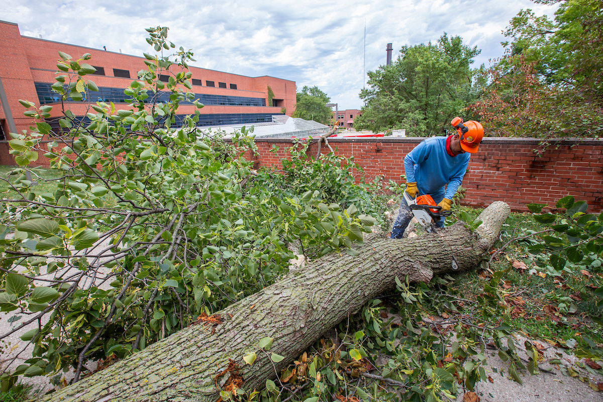 Efrain Ramirez of Campus Services works to clear a downed tree south of Agronomy Hall after storms on August 10, 2020.
