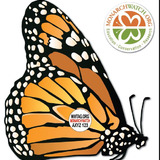 monarch butterfly tag