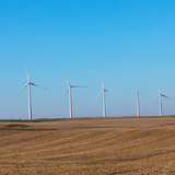 Wind turbines line harvested farm fields north of Ames.