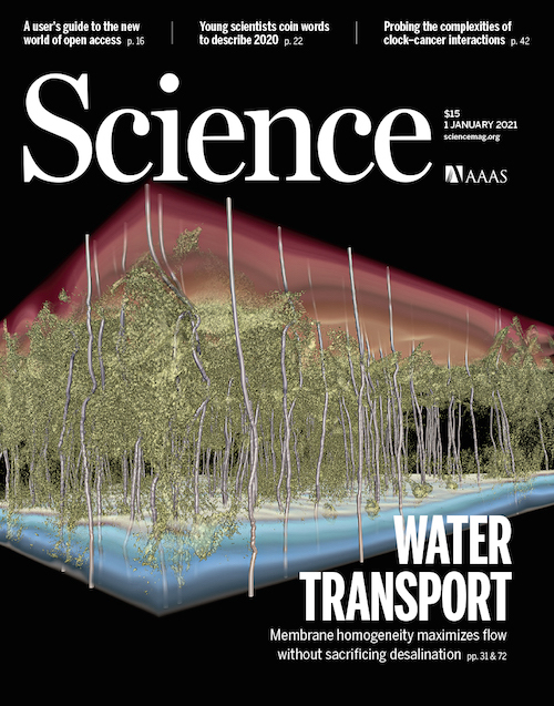 The cover of the Jan. 1, 2021, issue of Science, including a 3D computer simulation of a desalination membrane.